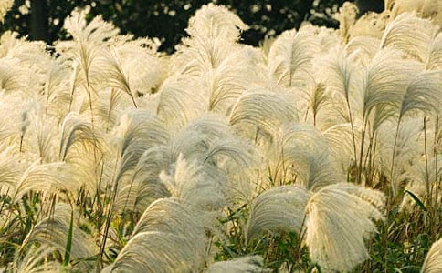 ��߅���JȔ����