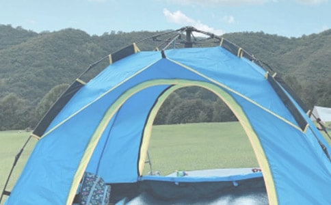 �P(gu��n)��¶�I����