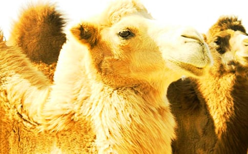 �������x���