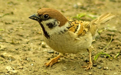 �҂���������ȸ����