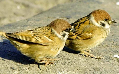 ����ȸ��һ�����������