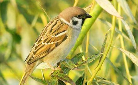 С��ȸ����