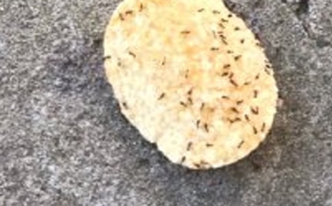 �^����ӛΛρ