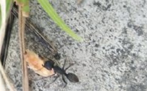 ����Λρ�a(ch��n)����С��������200��