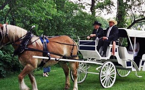 �҂���������{�R܇ɢ��