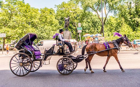 ���r(sh��)�g��С�R܇���̌W(xu��)��˼3ƪ