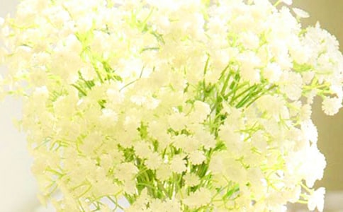 美麗的滿(mǎn)天星作文