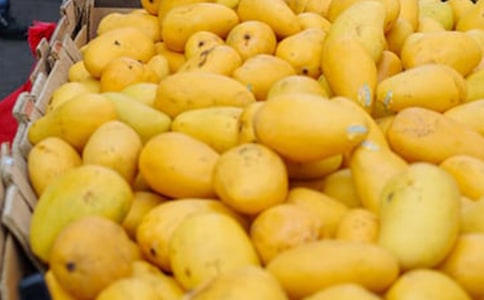 �P(gu��n)���Ґ�â�����ļ��\��ƪ