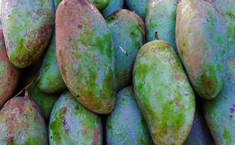 �P(gu��n)���Ґ�â�����ļ��\��ƪ