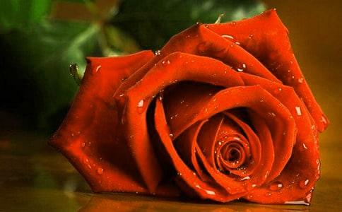 õ�廨�^����ӛ(�R��15ƪ)