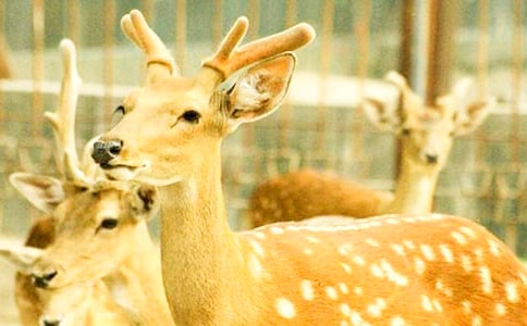 ÷��¹Ó�U(xi��n)ӛ����