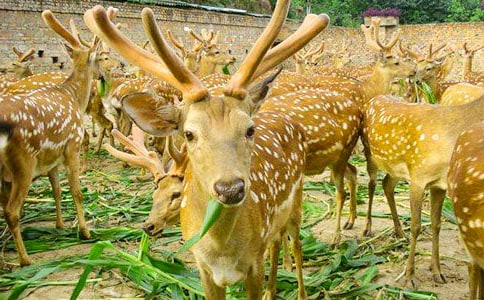 ÷��¹Ó�U(xi��n)ӛ