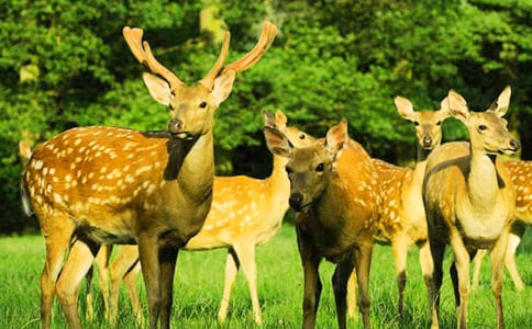 ÷��¹Ó�U(xi��n)ӛ����400��