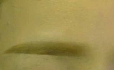 �����܌W(xu��)��(f��)��(x��) �мɡ�üë����һ��ץ��