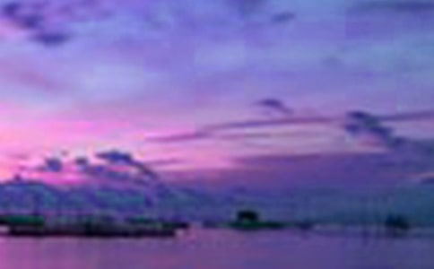 祖國的美景游記學生作文范文