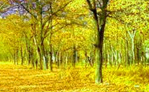 �P���l(xi��ng)����������