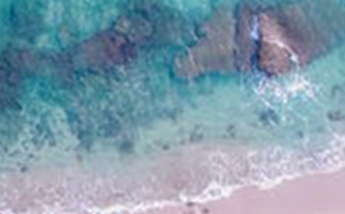 ���е���������