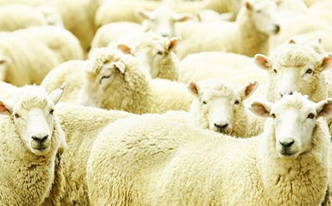 С��̰��ɐ۵�С�d����(d��ng)��˼