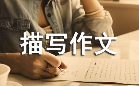 �����茑(xi��)����_�ҵı���