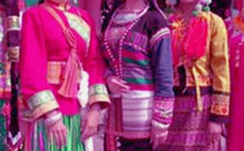 西北民族大學(xué)什么專(zhuān)業(yè)最好