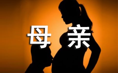 關(guān)于母親的愛(ài)優(yōu)秀作文400字