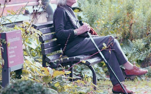 關(guān)于奶奶的愛(ài)作文300字集錦6篇