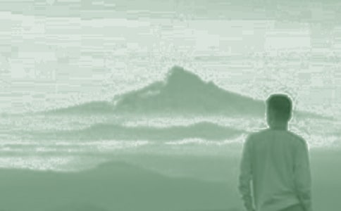 ��һ��(g��)���o���������o������ɢ��