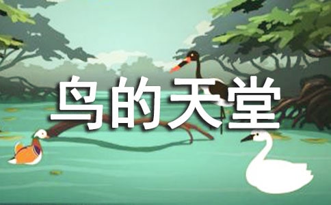 人教版小學(xué)語(yǔ)文《鳥(niǎo)的天堂》獲獎(jiǎng)?wù)f課稿范文