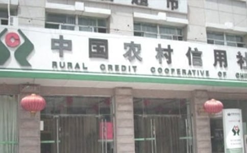 農(nóng)村信用社年度工作總結(jié)