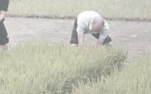 ��һ�θ��r(n��ng)������