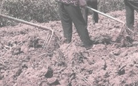 �����ڼ����r(n��ng)���ĵ��w��(hu��)��ͨ��5ƪ��