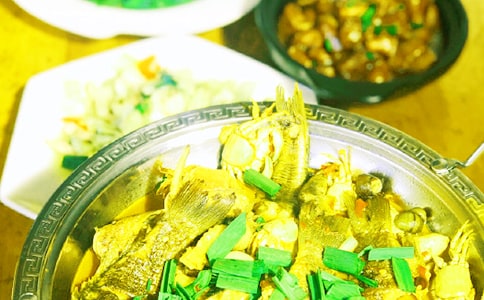 瓊海椰寨農(nóng)家樂(lè) -資料