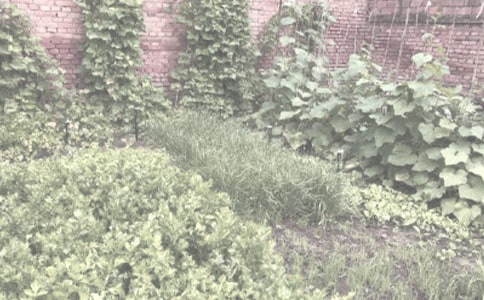 һ��(g��)���^���Ĺ�,����L(zh��ng)�ڈA�X��(��һ�r(n��ng)����)