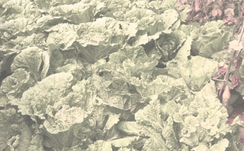 ��Ҋ(ji��n)�r(n��ng)����ˎ���Y��a(b��)�ȴ�ʩ-ֲ��Փ��