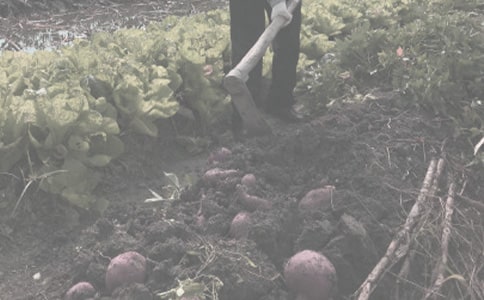 2009�걱������Ҫ�r(n��ng)��������Ʒ�N��Ҋ