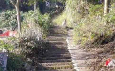 ��һ��ɽ��ӛ����600��