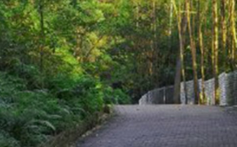 �������ɽ������15ƪ(�])