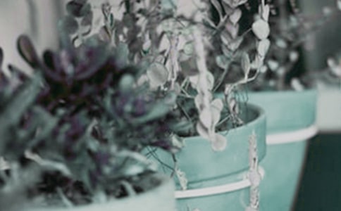 �����m���B(y��ng)�o(h��)Ҫ�c(di��n)