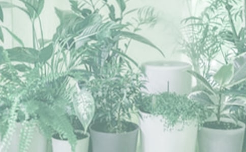 �P(gu��n)�����Ե����ģ����]��