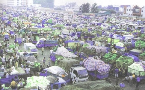 ���b���l(f��)�}������ƶȣ����x10ƪ��