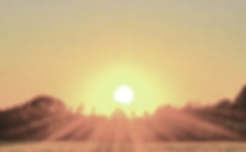 夢在黎明破曉時作文600字