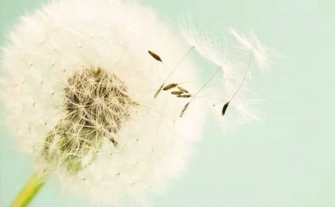 �P(gu��n)���ѹ�Ӣ����ӛ�����x15ƪ��