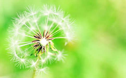 �ѹ�Ӣ����ӛ����