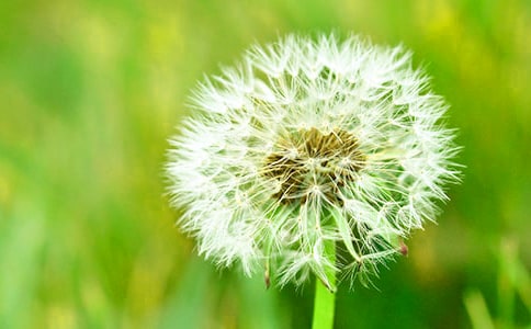 �x��һ���ѹ�Ӣ���и�����350��