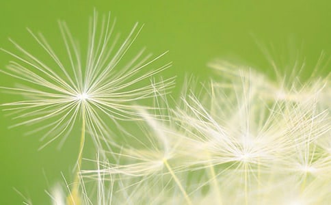 ���]���ѹ�Ӣ����39ƪ