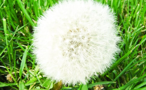 �ѹ�Ӣ����