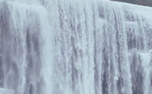 ���ֹŖ|ɭ���ٲ�