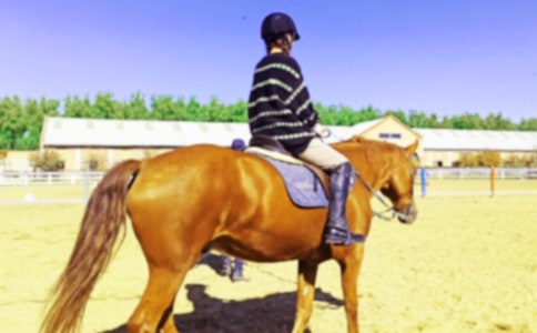 �T�R����