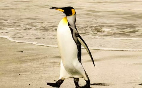 �������������Z�x���15ƪ