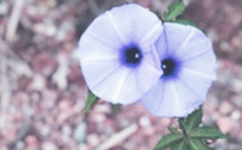 �������^��Ԓ�}��ӛ����